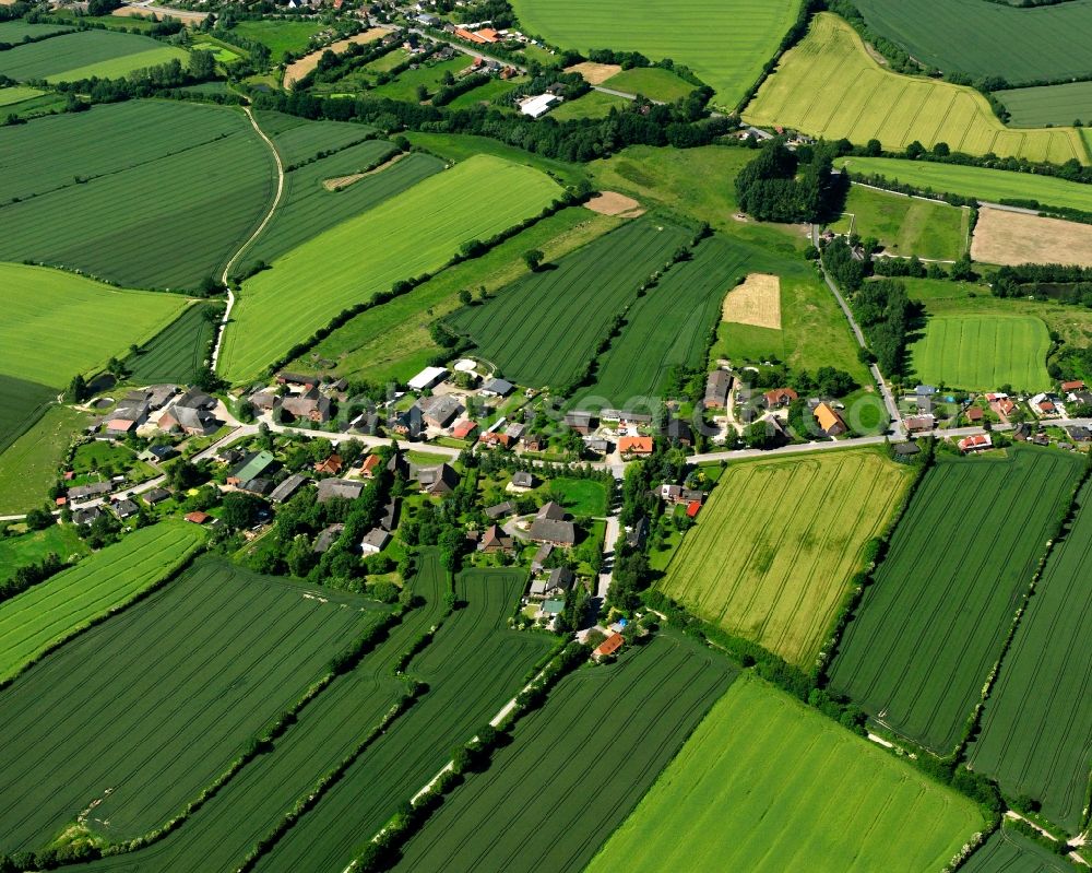 Düchelsdorf from the bird's eye view: Agricultural land and field boundaries surround the settlement area of the village in Düchelsdorf in the state Schleswig-Holstein, Germany