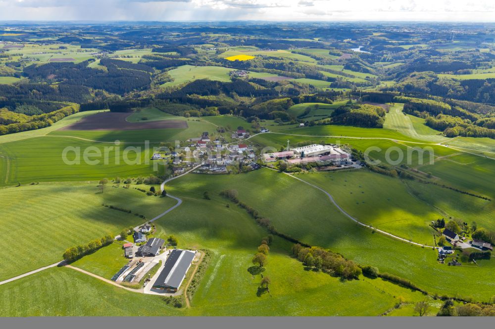 Delle from the bird's eye view: Agricultural land and field boundaries surround the settlement area of the village in Delle in the state North Rhine-Westphalia, Germany