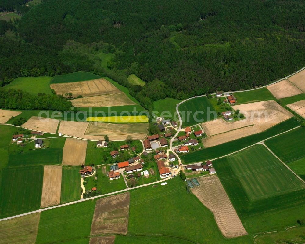 Aerial image Dellendorf - Agricultural land and field boundaries surround the settlement area of the village in Dellendorf in the state Bavaria, Germany