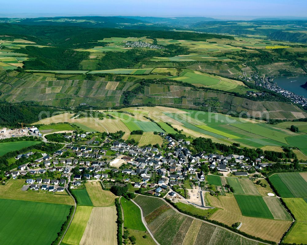 Aerial image Dellhofen - Agricultural land and field boundaries surround the settlement area of the village in Dellhofen in the state Rhineland-Palatinate, Germany