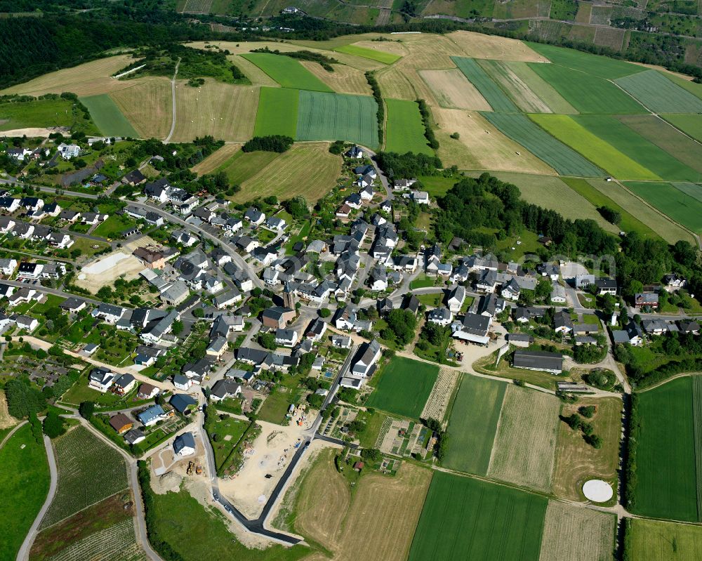 Aerial photograph Dellhofen - Agricultural land and field boundaries surround the settlement area of the village in Dellhofen in the state Rhineland-Palatinate, Germany