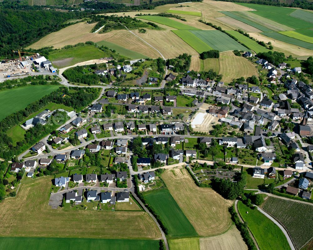 Dellhofen from above - Agricultural land and field boundaries surround the settlement area of the village in Dellhofen in the state Rhineland-Palatinate, Germany