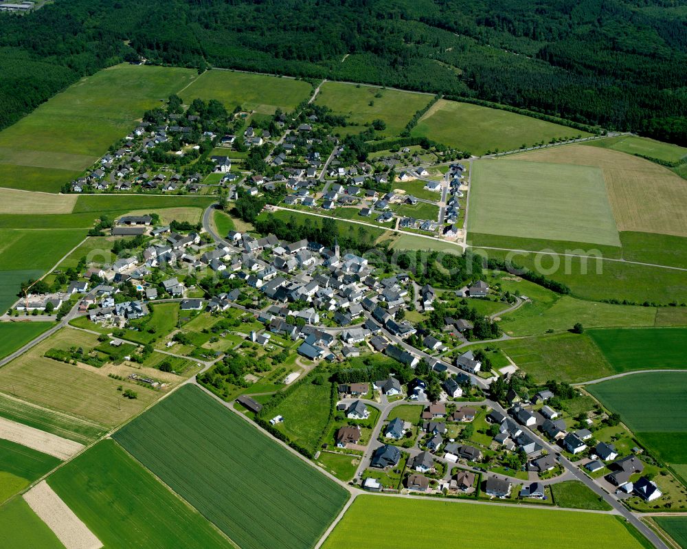 Aerial photograph Dichtelbach - Agricultural land and field boundaries surround the settlement area of the village in Dichtelbach in the state Rhineland-Palatinate, Germany