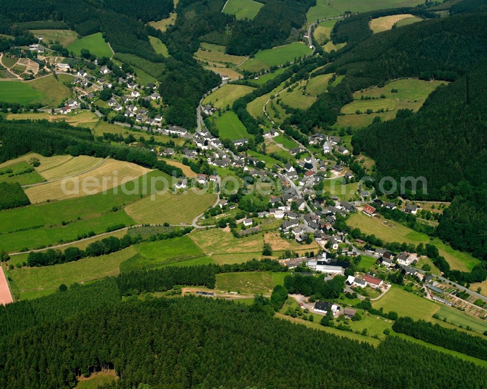 Aerial photograph Diedenshausen - Agricultural land and field boundaries surround the settlement area of the village in Diedenshausen in the state North Rhine-Westphalia, Germany