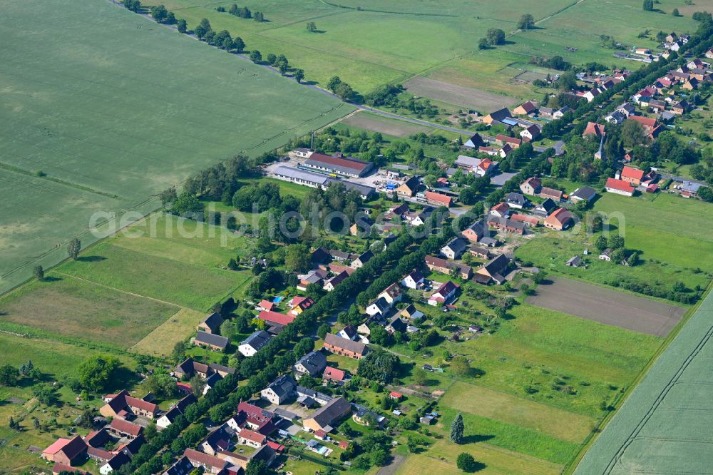 Dierberg from above - Agricultural land and field boundaries surround the settlement area of the village in Dierberg in the state Brandenburg, Germany