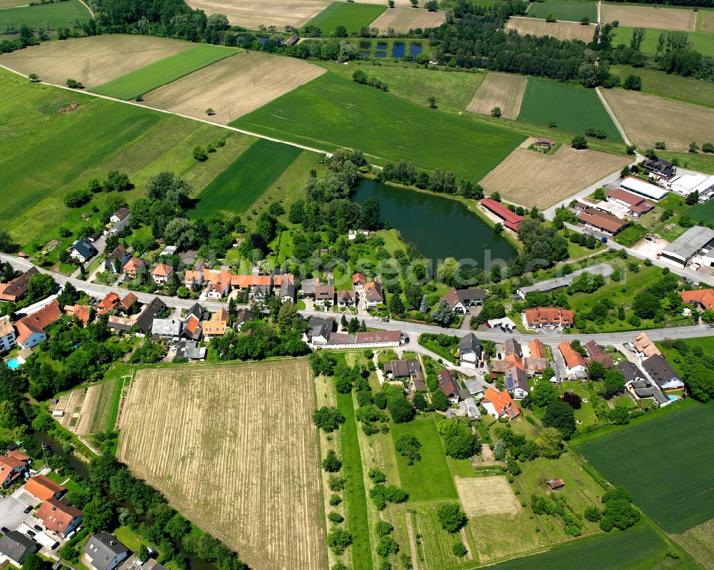 Diersheim from above - Agricultural land and field boundaries surround the settlement area of the village in Diersheim in the state Baden-Wuerttemberg, Germany