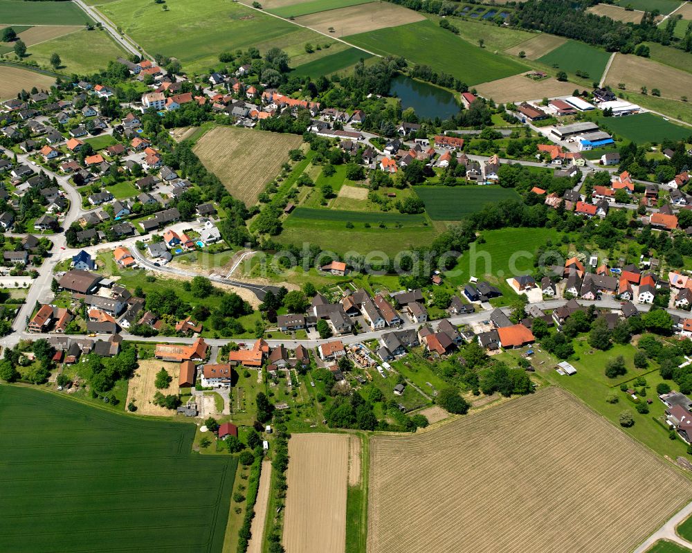 Diersheim from the bird's eye view: Agricultural land and field boundaries surround the settlement area of the village in Diersheim in the state Baden-Wuerttemberg, Germany