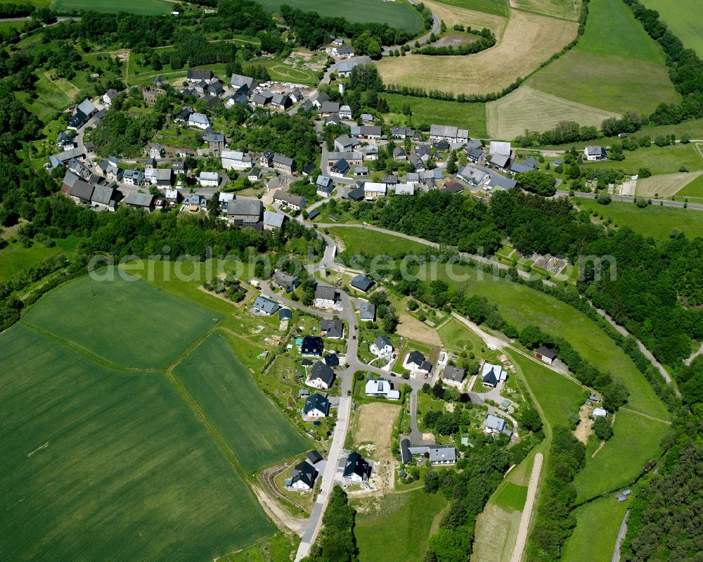 Dill from the bird's eye view: Agricultural land and field boundaries surround the settlement area of the village in Dill in the state Rhineland-Palatinate, Germany