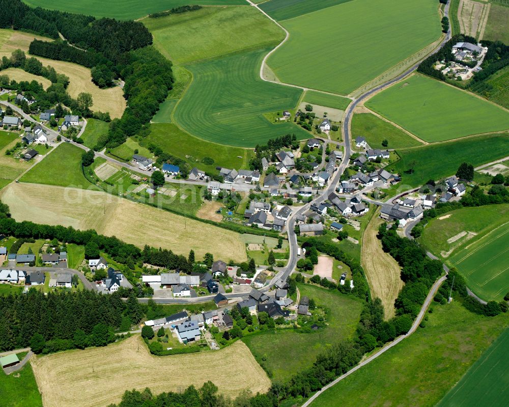 Aerial image Dillendorf - Agricultural land and field boundaries surround the settlement area of the village in Dillendorf in the state Rhineland-Palatinate, Germany