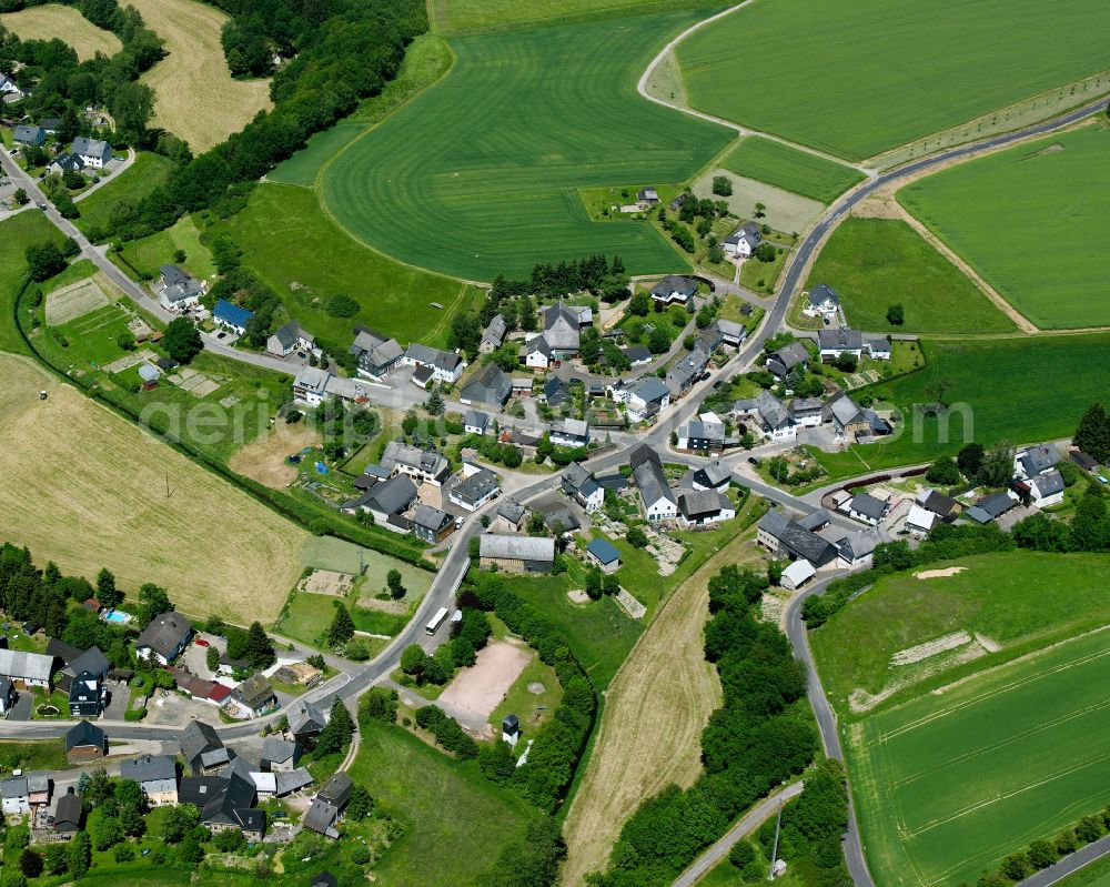 Aerial photograph Dillendorf - Agricultural land and field boundaries surround the settlement area of the village in Dillendorf in the state Rhineland-Palatinate, Germany