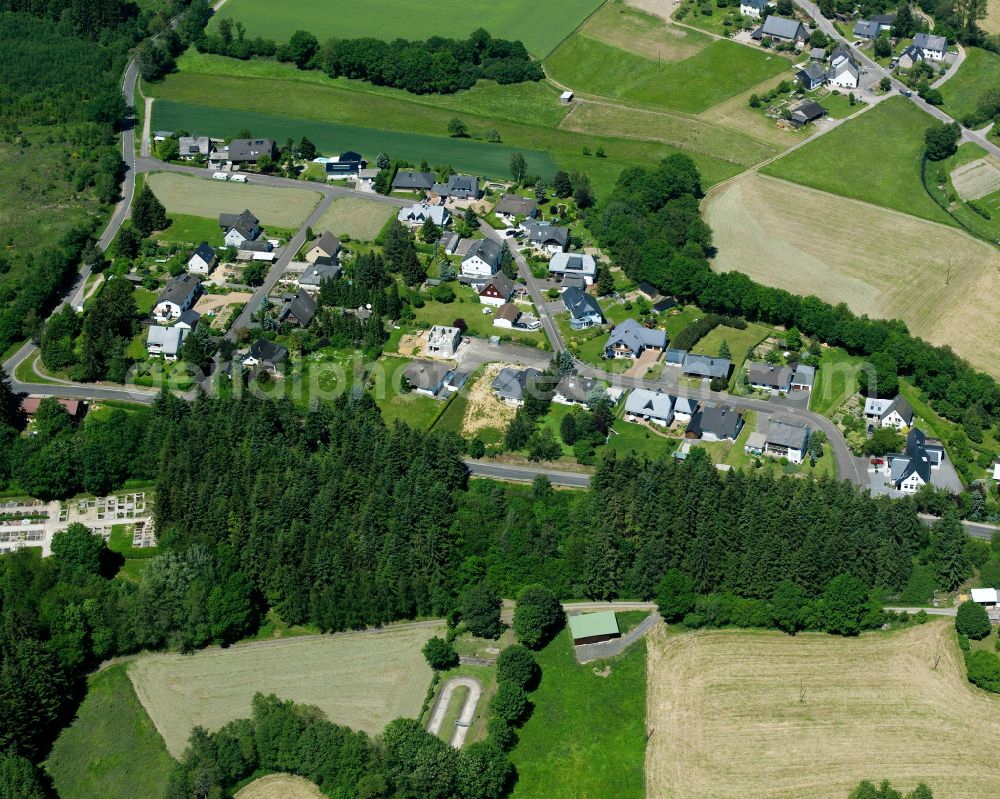 Dillendorf from above - Agricultural land and field boundaries surround the settlement area of the village in Dillendorf in the state Rhineland-Palatinate, Germany