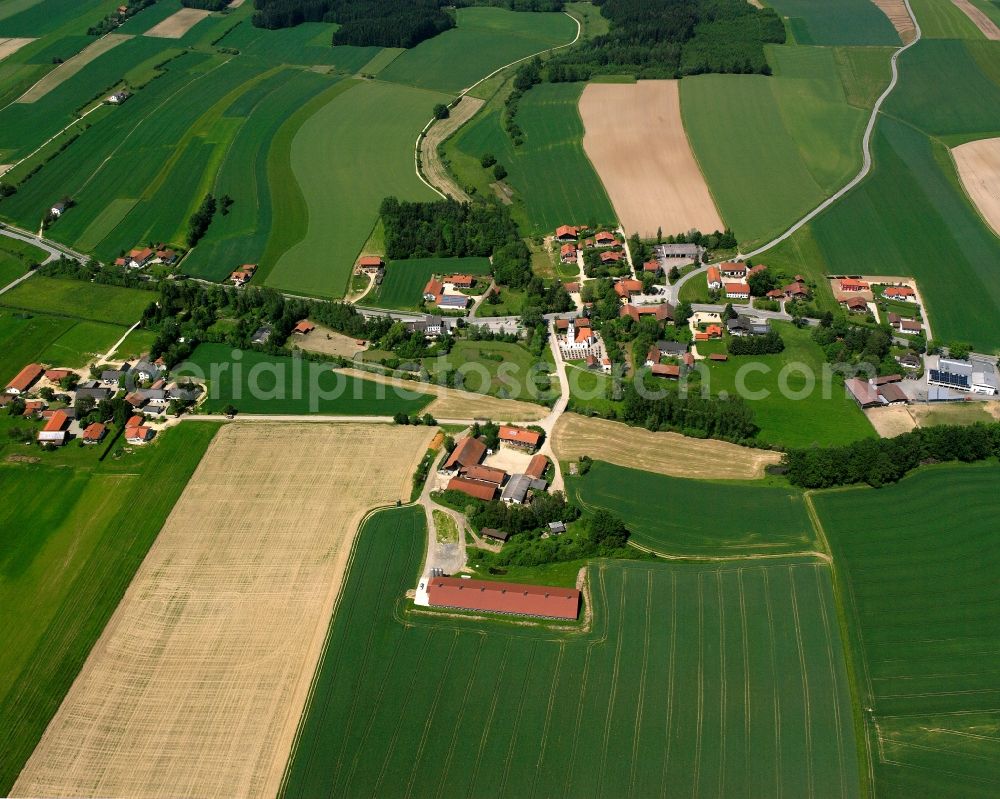 Dirnaich from the bird's eye view: Agricultural land and field boundaries surround the settlement area of the village in Dirnaich in the state Bavaria, Germany