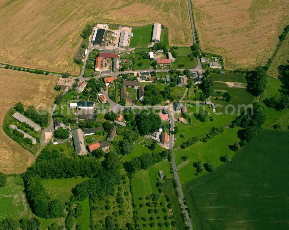 Aerial photograph Dobernitz - Agricultural land and field boundaries surround the settlement area of the village in Dobernitz in the state Saxony, Germany