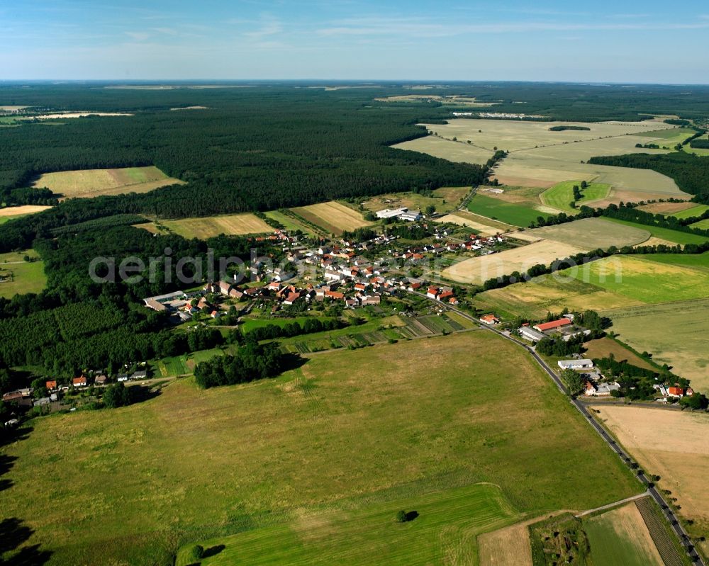 Aerial photograph Dobritz - Agricultural land and field boundaries surround the settlement area of the village in Dobritz in the state Saxony-Anhalt, Germany