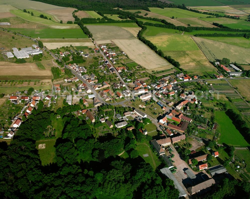 Dobritz from above - Agricultural land and field boundaries surround the settlement area of the village in Dobritz in the state Saxony-Anhalt, Germany