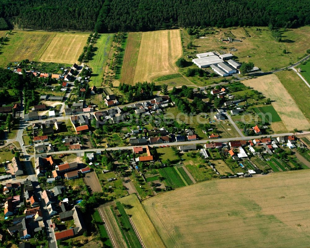 Dobritz from the bird's eye view: Agricultural land and field boundaries surround the settlement area of the village in Dobritz in the state Saxony-Anhalt, Germany