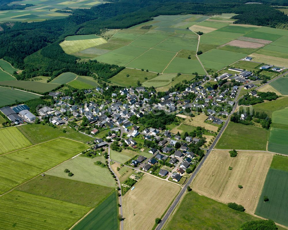 Aerial photograph Dommershausen - Agricultural land and field boundaries surround the settlement area of the village in Dommershausen in the state Rhineland-Palatinate, Germany