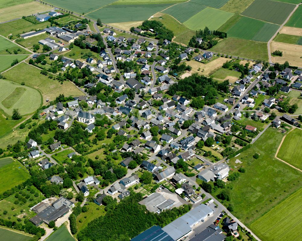 Dommershausen from the bird's eye view: Agricultural land and field boundaries surround the settlement area of the village in Dommershausen in the state Rhineland-Palatinate, Germany