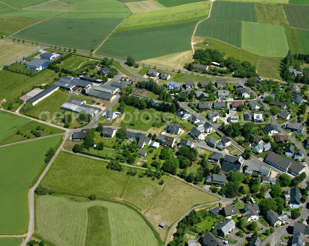 Aerial image Dommershausen - Agricultural land and field boundaries surround the settlement area of the village in Dommershausen in the state Rhineland-Palatinate, Germany