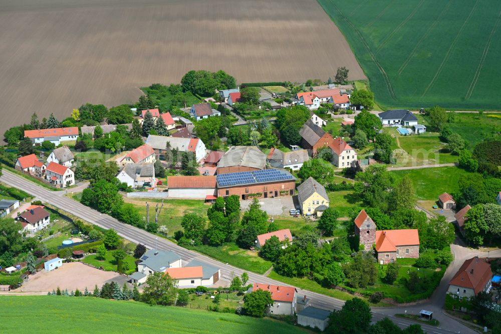 Aerial image Domnitz - Agricultural land and field boundaries surround the settlement area of the village in Domnitz in the state Saxony-Anhalt, Germany