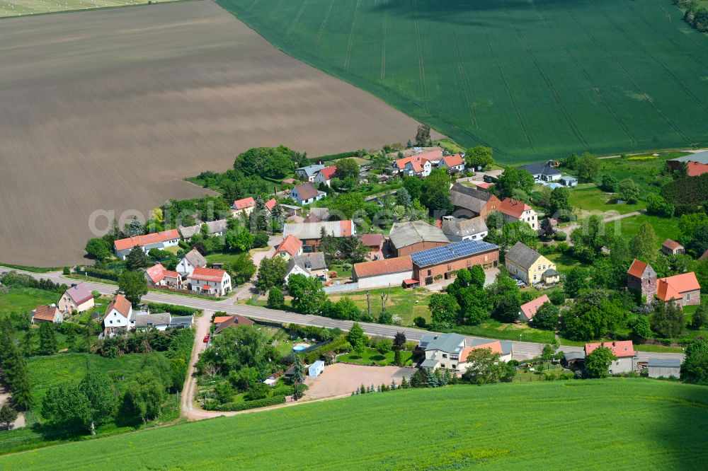 Aerial photograph Domnitz - Agricultural land and field boundaries surround the settlement area of the village in Domnitz in the state Saxony-Anhalt, Germany