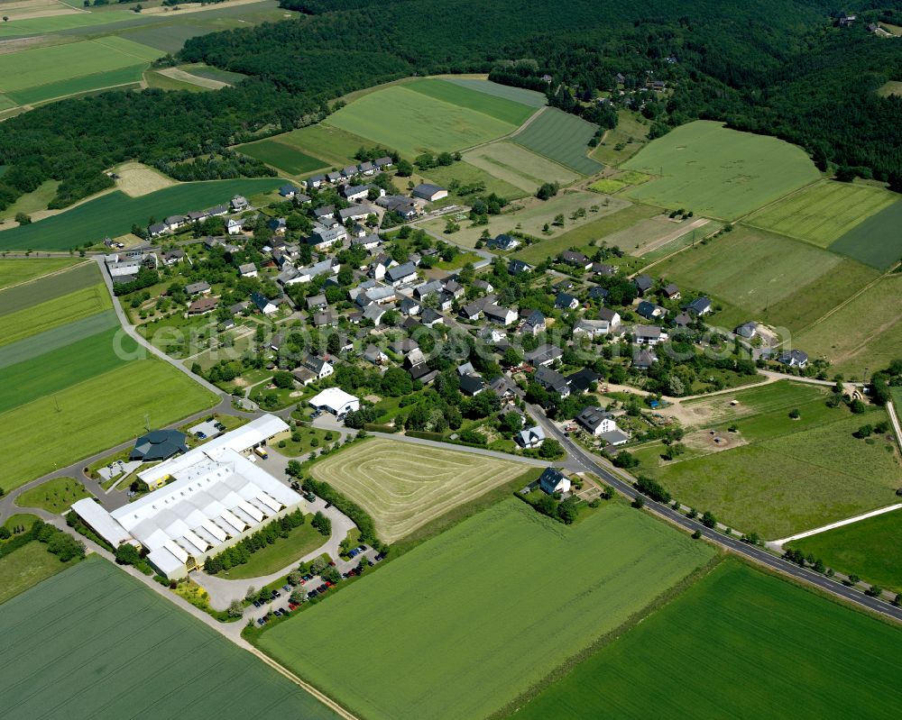 Dorweiler from the bird's eye view: Agricultural land and field boundaries surround the settlement area of the village in Dorweiler in the state Rhineland-Palatinate, Germany