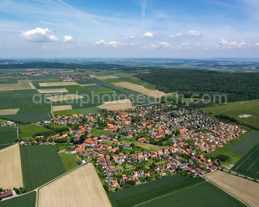 Aerial photograph Dörnten - Agricultural land and field boundaries surround the settlement area of the village in Dörnten in the state Lower Saxony, Germany