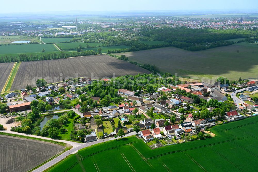 Drosa from above - Agricultural land and field boundaries surround the settlement area of the village in Drosa in the state Saxony-Anhalt, Germany