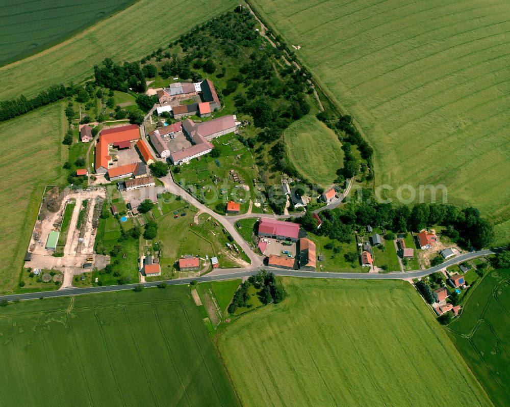 Aerial image Dösitz - Agricultural land and field boundaries surround the settlement area of the village in Dösitz in the state Saxony, Germany