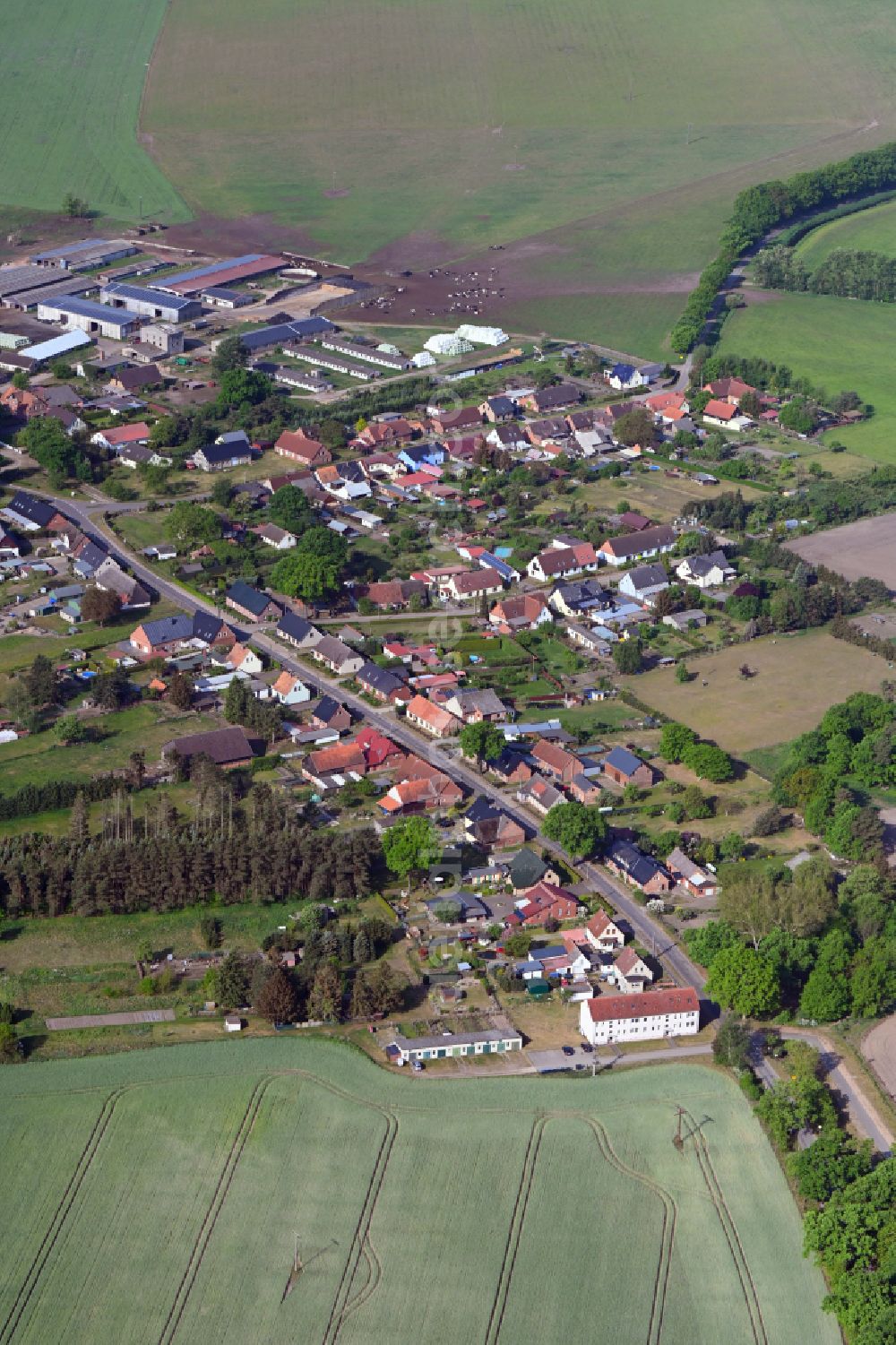 Dütschow from the bird's eye view: Agricultural land and field boundaries surround the settlement area of the village in Dütschow in the state Mecklenburg - Western Pomerania, Germany