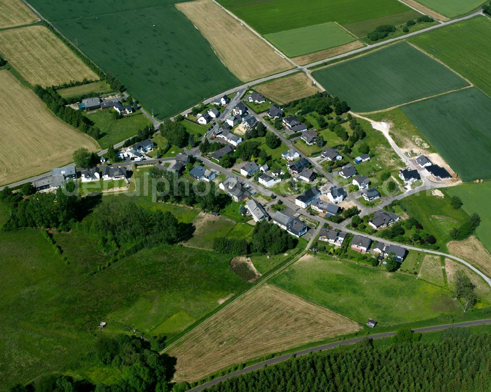 Dudenroth from the bird's eye view: Agricultural land and field boundaries surround the settlement area of the village in Dudenroth in the state Rhineland-Palatinate, Germany