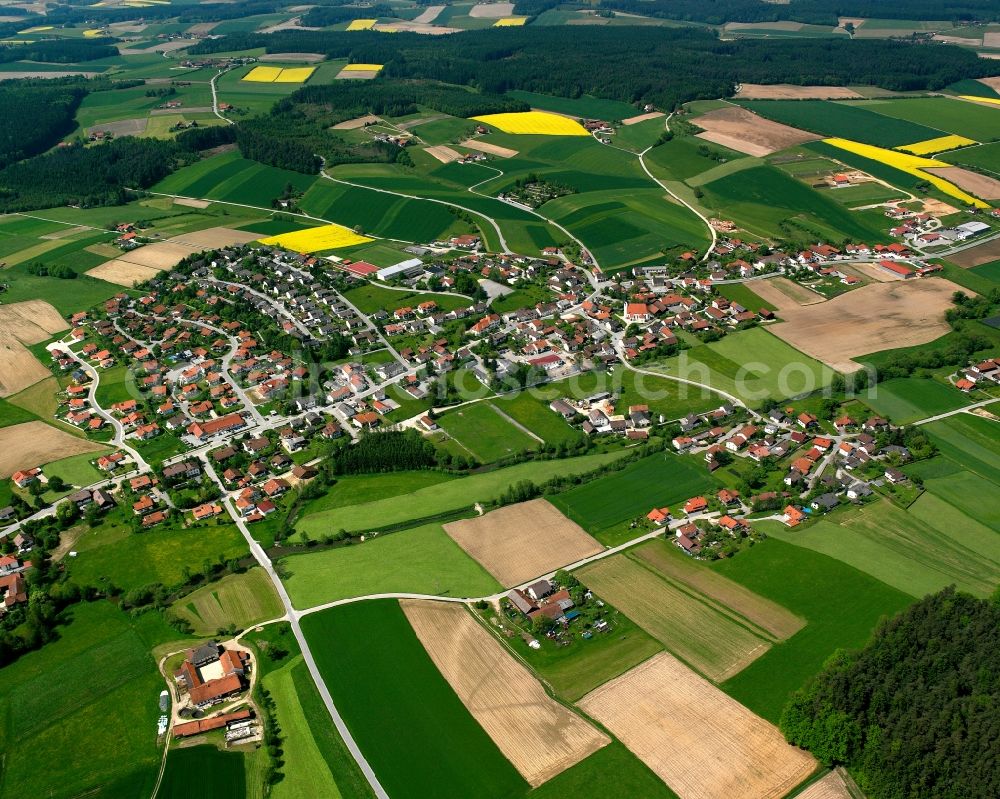 Dummeldorf from the bird's eye view: Agricultural land and field boundaries surround the settlement area of the village in Dummeldorf in the state Bavaria, Germany