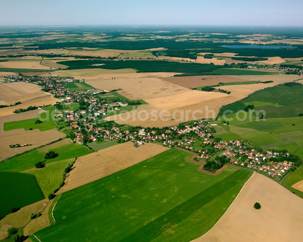 Aerial photograph Ebersbach - Agricultural land and field boundaries surround the settlement area of the village in Ebersbach in the state Saxony, Germany