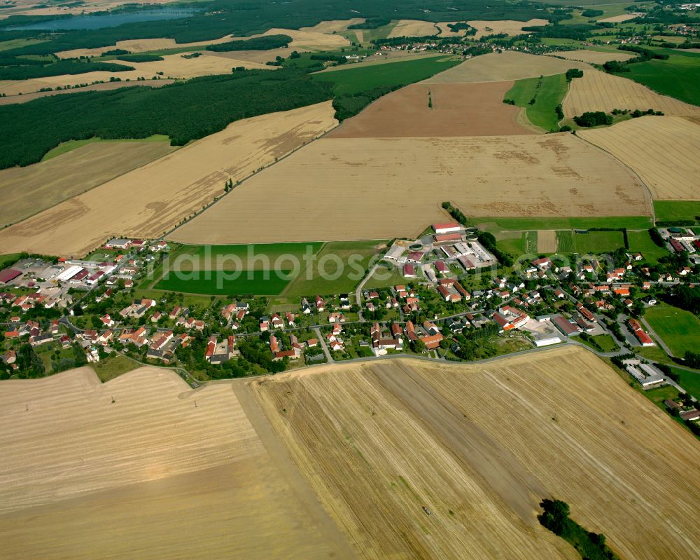 Aerial image Ebersbach - Agricultural land and field boundaries surround the settlement area of the village in Ebersbach in the state Saxony, Germany