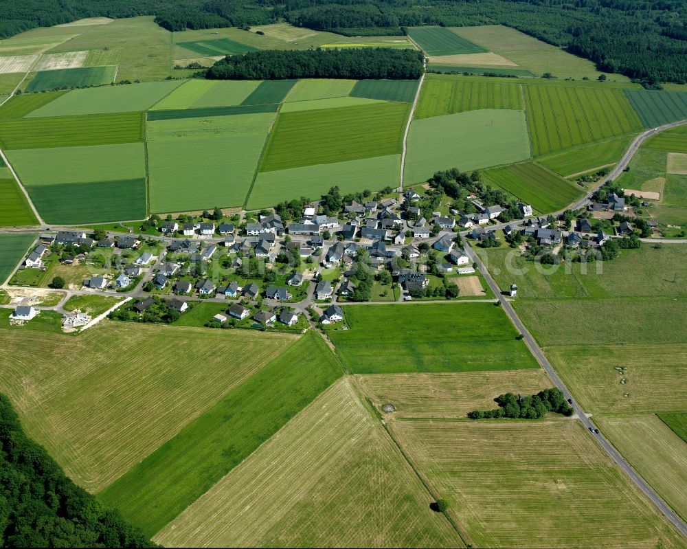 Aerial image Ebschied - Agricultural land and field boundaries surround the settlement area of the village in Ebschied in the state Rhineland-Palatinate, Germany