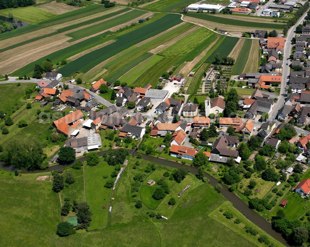 Eckartsweier from the bird's eye view: Agricultural land and field boundaries surround the settlement area of the village in Eckartsweier in the state Baden-Wuerttemberg, Germany