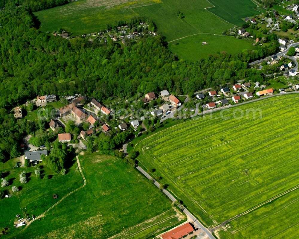 Ehrenberg from above - Agricultural land and field boundaries surround the settlement area of the village in Ehrenberg in the state Saxony, Germany