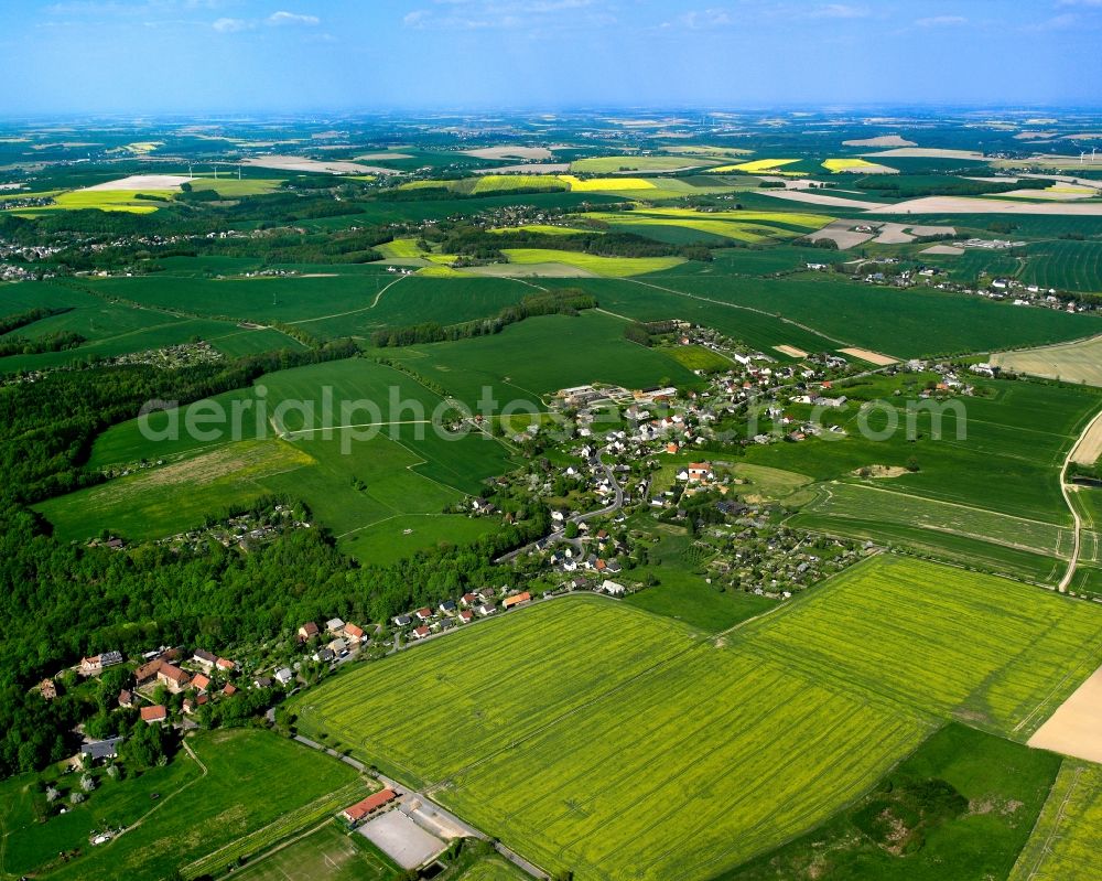 Ehrenberg from the bird's eye view: Agricultural land and field boundaries surround the settlement area of the village in Ehrenberg in the state Saxony, Germany