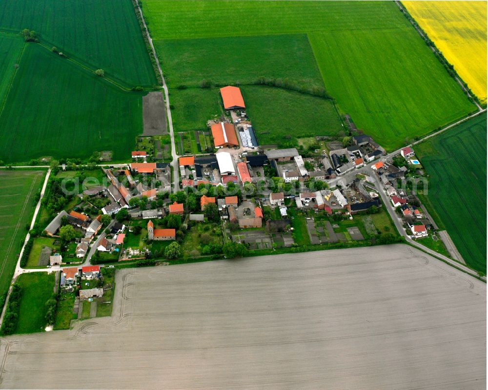 Aerial photograph Eichholz - Agricultural land and field boundaries surround the settlement area of the village in Eichholz in the state Saxony-Anhalt, Germany