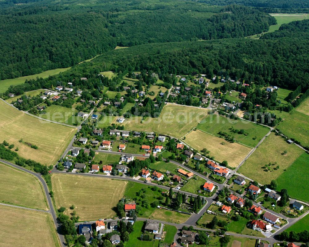 Einartshausen from the bird's eye view: Agricultural land and field boundaries surround the settlement area of the village in Einartshausen in the state Hesse, Germany