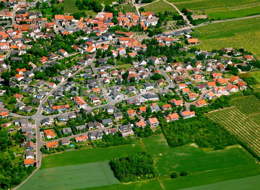 Aerial photograph Einselthum - Agricultural land and field boundaries surround the settlement area of the village in Einselthum in the state Rhineland-Palatinate, Germany