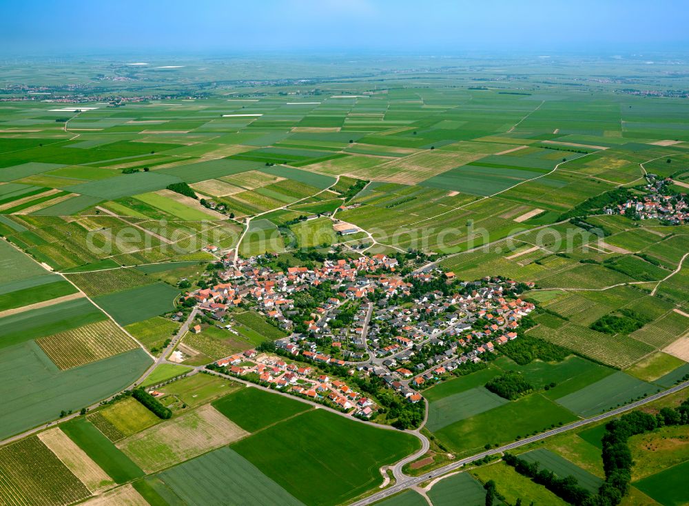 Einselthum from the bird's eye view: Agricultural land and field boundaries surround the settlement area of the village in Einselthum in the state Rhineland-Palatinate, Germany