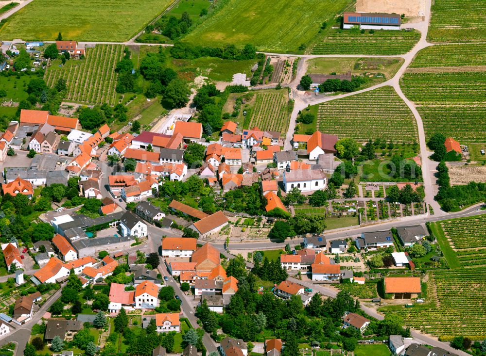 Aerial image Einselthum - Agricultural land and field boundaries surround the settlement area of the village in Einselthum in the state Rhineland-Palatinate, Germany