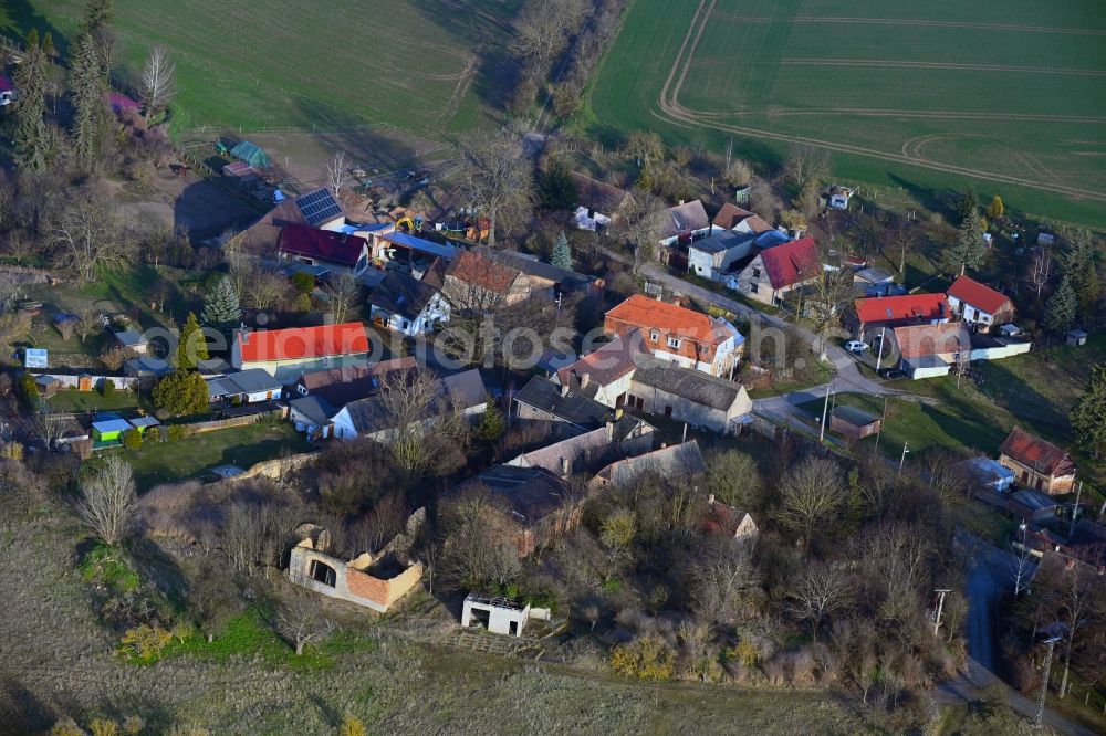 Aerial image Elbitz - Agricultural land and field boundaries surround the settlement area of the village in Elbitz in the state Saxony-Anhalt, Germany