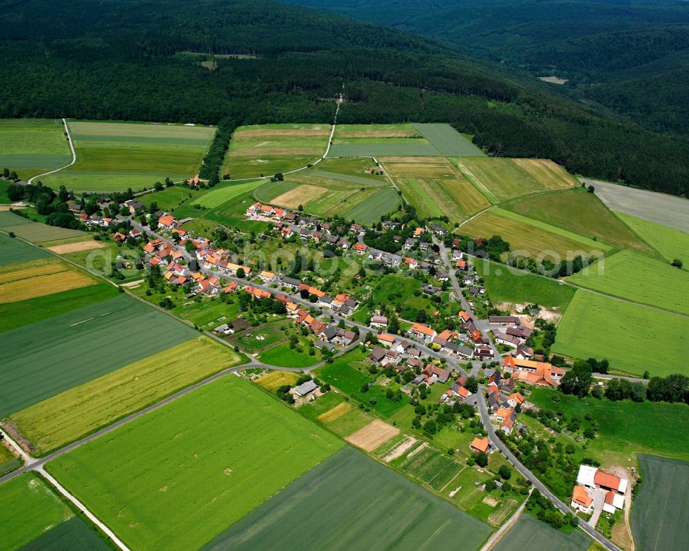 Ellershausen bei Münden from the bird's eye view: Agricultural land and field boundaries surround the settlement area of the village in Ellershausen bei Münden in the state Lower Saxony, Germany