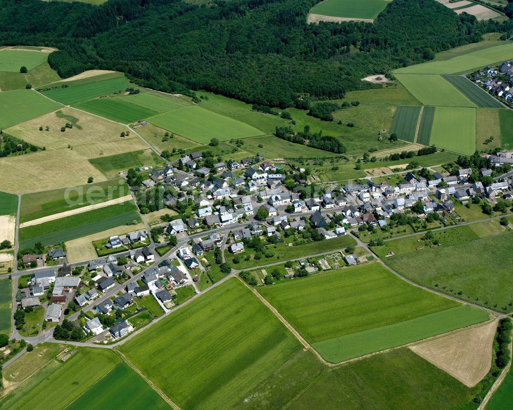 Aerial image Emmelshausen - Agricultural land and field boundaries surround the settlement area of the village in Emmelshausen in the state Rhineland-Palatinate, Germany