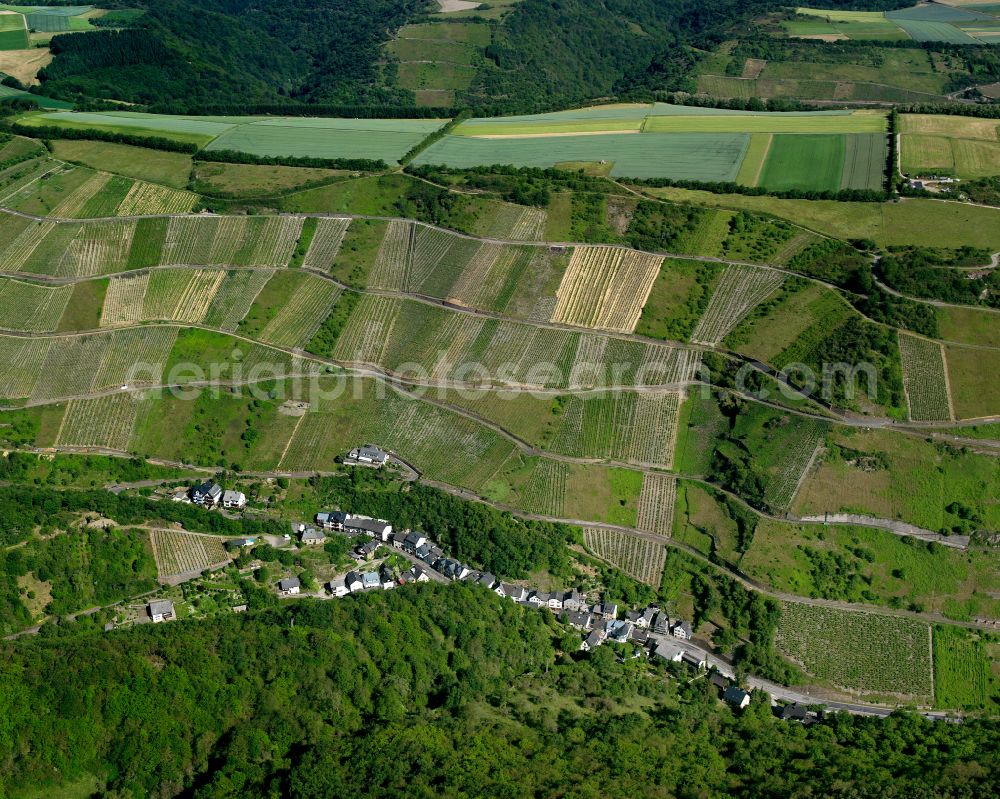 Engehöll from the bird's eye view: Agricultural land and field boundaries surround the settlement area of the village in Engehöll in the state Rhineland-Palatinate, Germany