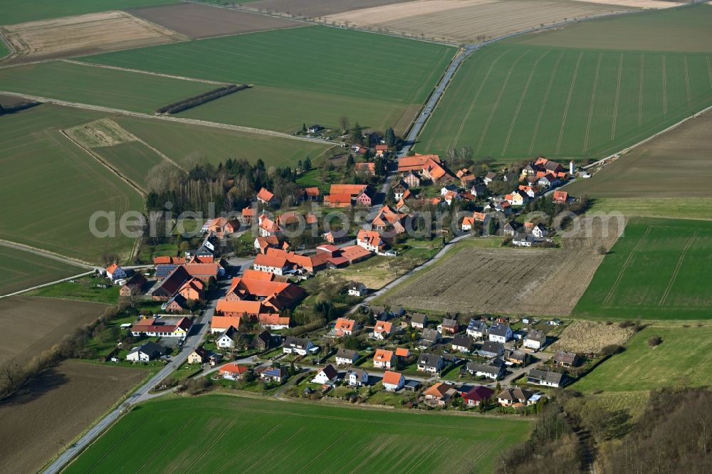 Hoyershausen from the bird's eye view: Agricultural land and field boundaries surround the settlement area of the village along the Langestrasse in Hoyershausen in the state Lower Saxony, Germany