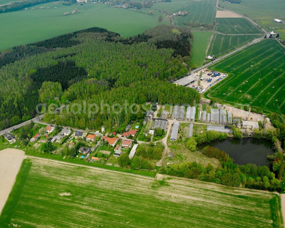 Erlau from above - Agricultural land and field boundaries surround the settlement area of the village in Erlau in the state Saxony, Germany