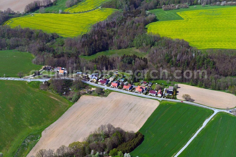 Eulowitz from above - Agricultural land and field boundaries surround the settlement area of the village in Eulowitz in the state Saxony, Germany